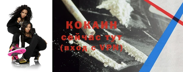 мяу мяу мука Корсаков