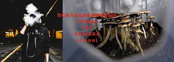 МДПВ Коряжма