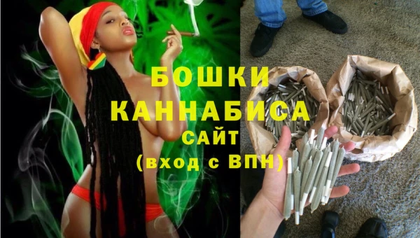 PSILOCYBIN Кодинск