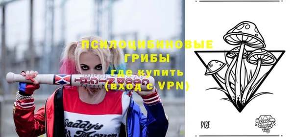 apvp Костерёво